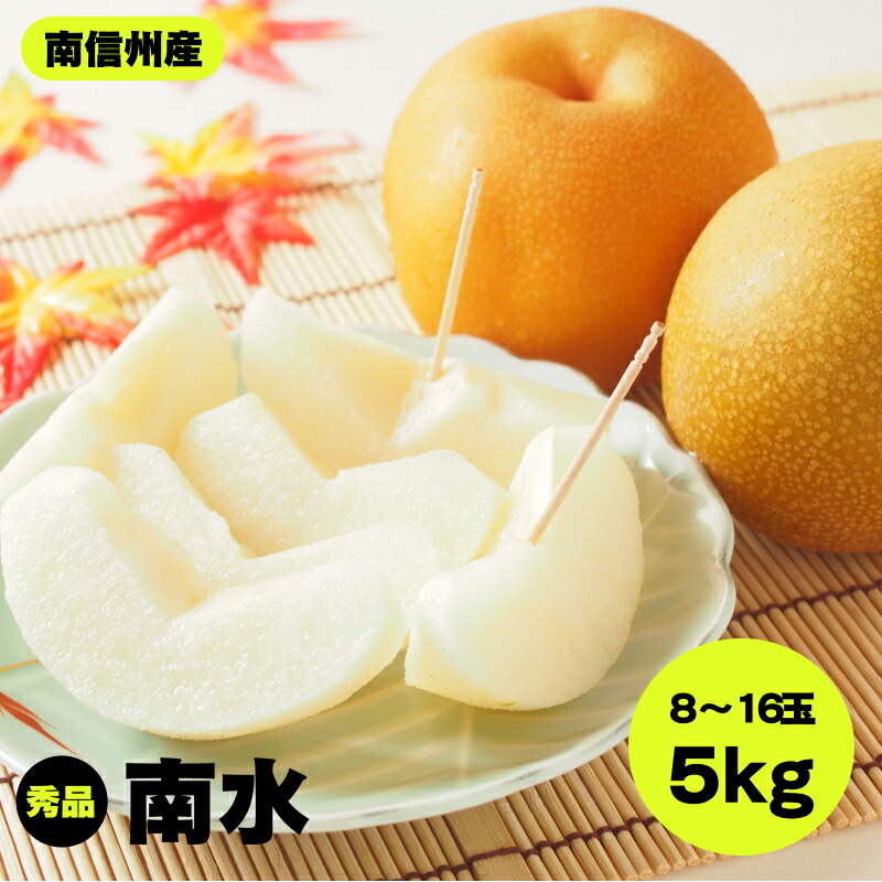 【ふるさと納税】【南信州産】南水　秀品　約5ｋ　8～16玉 | 南水 ナシ 梨 なし 果物 フルーツ 信州 南信州 送料無料 ふるさと納税 長野県 飯田市 K23