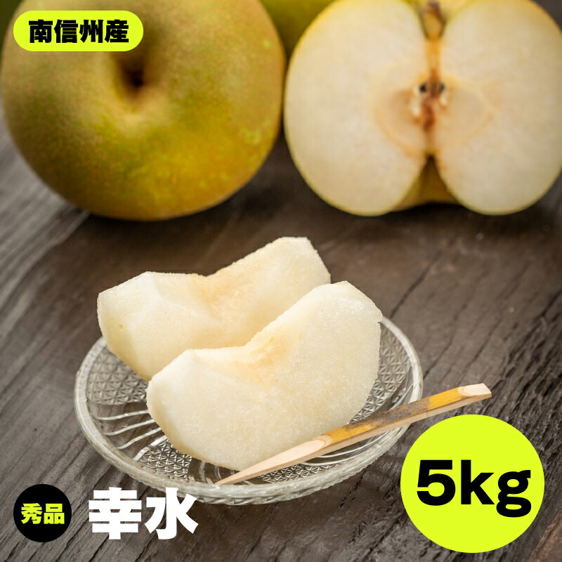 【ふるさと納税】【南信州産】幸水　約5kg　秀品 | 幸水 梨 なし ナシ 果物 くだもの フルーツ 信州 南信州 送料無料 ふるさと納税 長野県 飯田市 K34