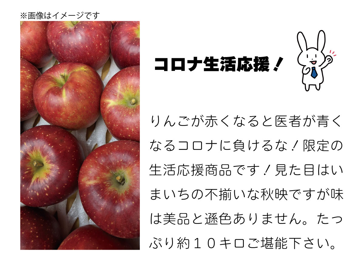 ふるさと納税 コロナ生活手つだい ファミリー役目 とんちんかんの秋映 ほぼ10kg 約26玉 約40玉 市川農園 21老年発信 9桂月中旬時点一段と順次発送スケジュール フルーツ 果物 林檎 リンゴ 秋映 訳あり 家庭用 Daemlu Cl