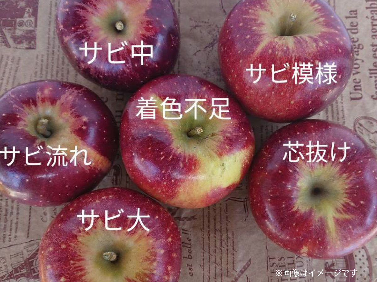 ふるさと納税 コロナ生活手つだい ファミリー役目 とんちんかんの秋映 ほぼ10kg 約26玉 約40玉 市川農園 21老年発信 9桂月中旬時点一段と順次発送スケジュール フルーツ 果物 林檎 リンゴ 秋映 訳あり 家庭用 Daemlu Cl