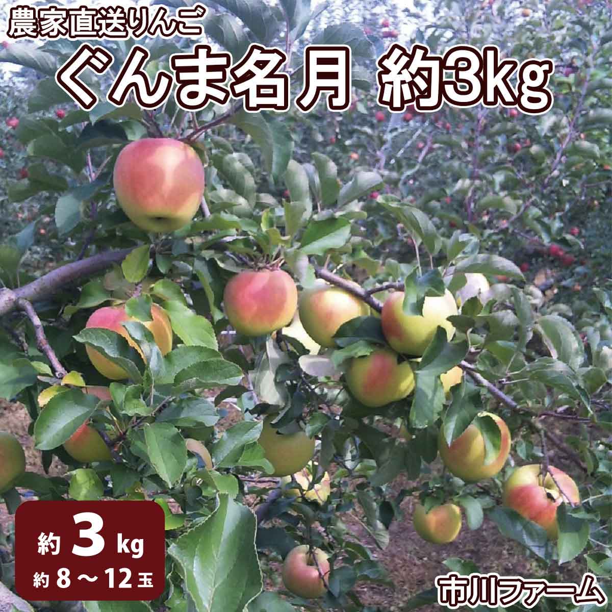 新品即決 農家直送りんご ぐんま名月 約3kg 約8〜12玉 ≪市川ファーム≫2022年〜2023年発送※10月中旬頃〜1月中旬頃まで順次発送予定  果物 フルーツ りんご fucoa.cl