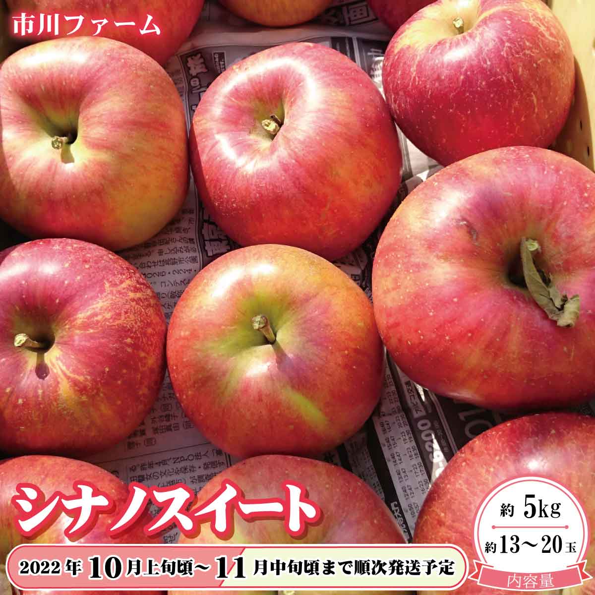 シナノスイート 約5kg 約13〜20玉 《市川ファーム》2022年発送※10月上旬頃〜11月中旬頃まで順次発送予定 フルーツ 果物 りんご リンゴ  配送員設置送料無料