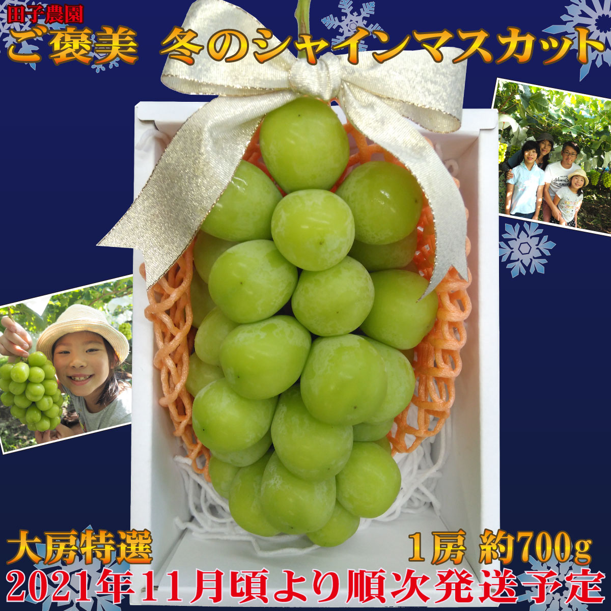 売り切れ必至 楽天市場 ふるさと納税 ご褒美 冬のシャインマスカット １房 約700g 田子農園 21年発送 11月頃より順次発送予定 果物類 フルーツ 果物 ぶどう 冷蔵 長野県須坂市 大流行中 Blog Belasartes Br