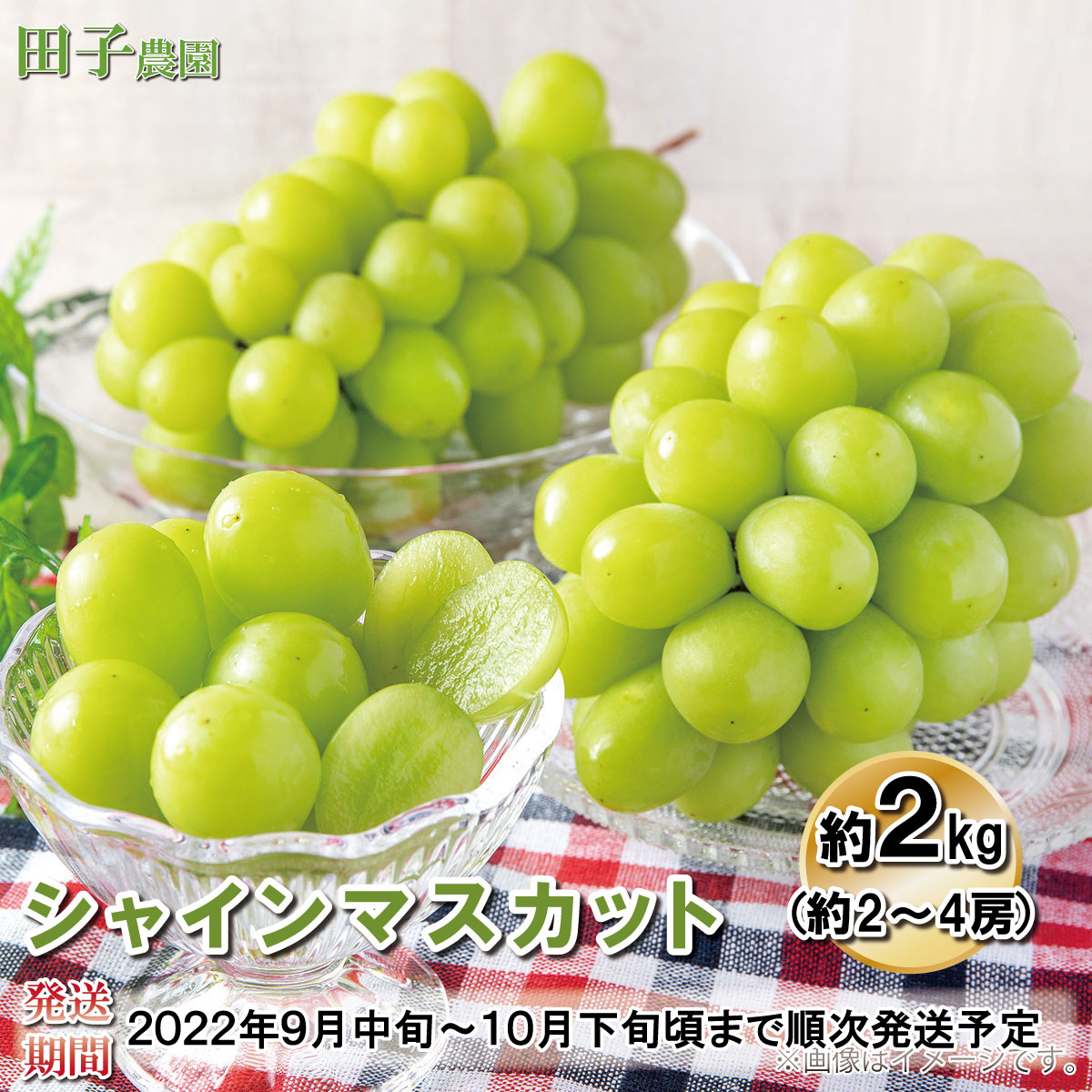 最安値挑戦 通販thanks ミニハートメガホン2本セット 日本製 紐付き ピンク 建築