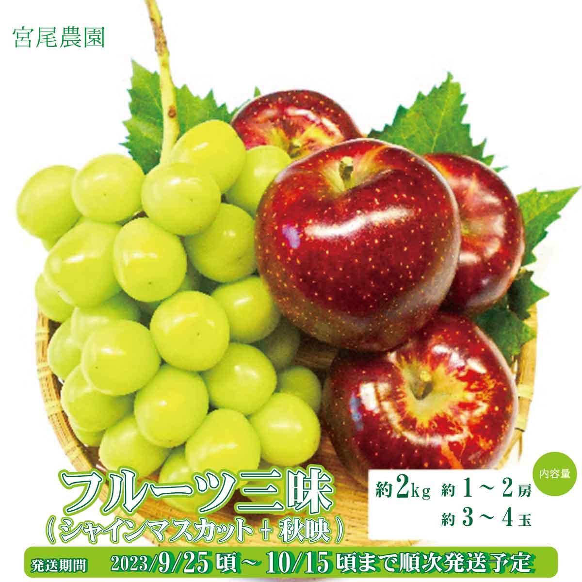 あなたにおすすめの商品 シャインマスカット約3kg 約4〜6房 《田子農園》2023年発送※9月中旬頃〜10月下旬頃まで順次発送予定 果物類  フルーツ 果物 ぶどう