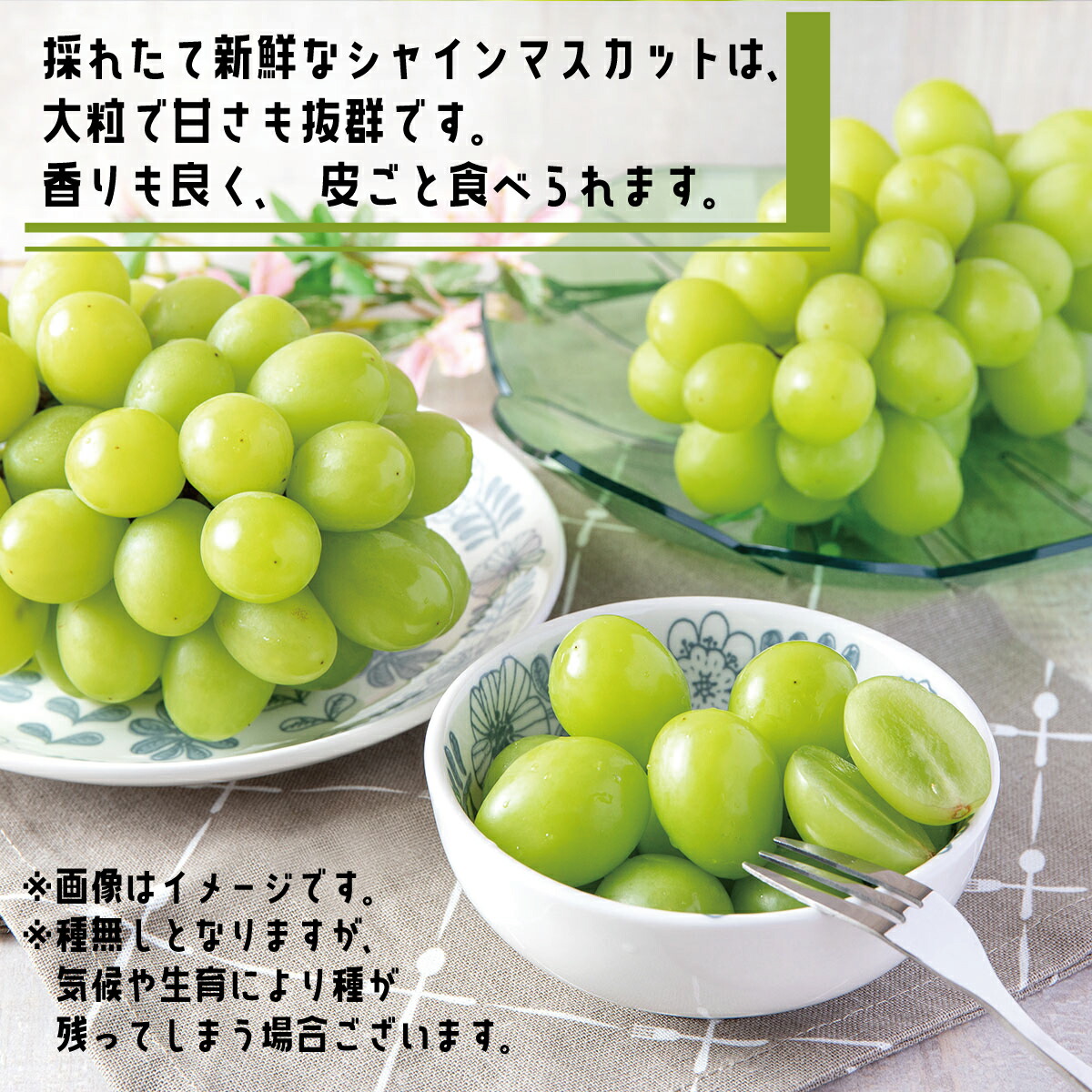 ふるさと納税 ぶどう農夫のシャインマスカット 約 約 房 佐藤ファーム 21高齢差し出す 9ムーンライト下旬時分もっと順次発送考える 果物 ぶどう フルーツ 果物手あい Marchesoni Com Br