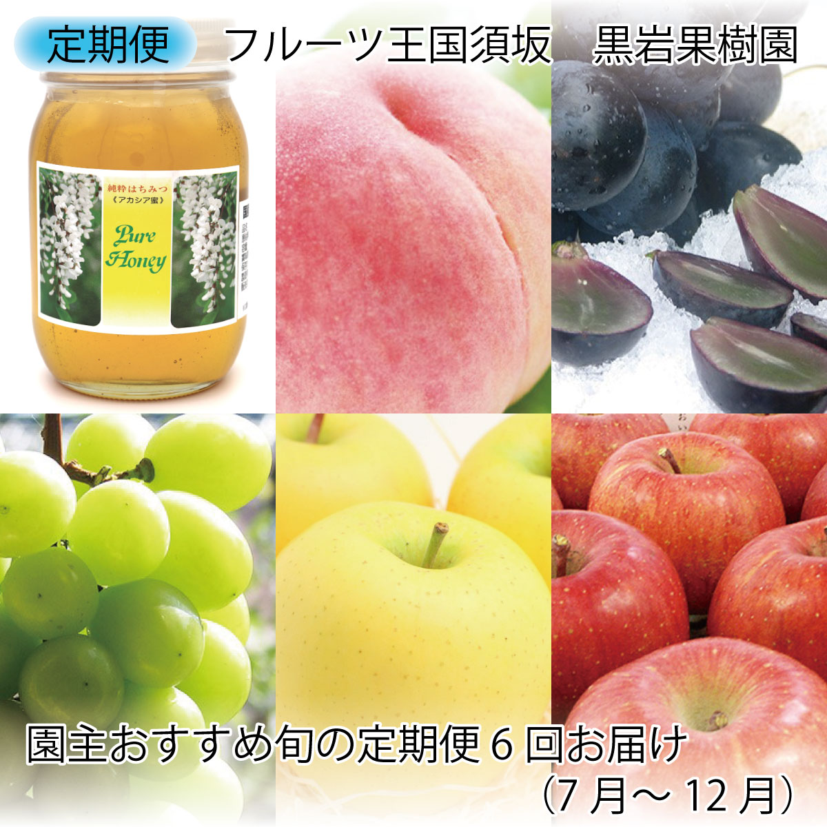 ふるさと納税 6ヶ月間 毎月 計6回お届け 黒岩果樹園 旬の定期便 黒岩果樹園 21年発送 7月頃より順次発送予定 定期便 頒布会 果物 ぶどう りんご もも フルーツ Antaraglobal Org
