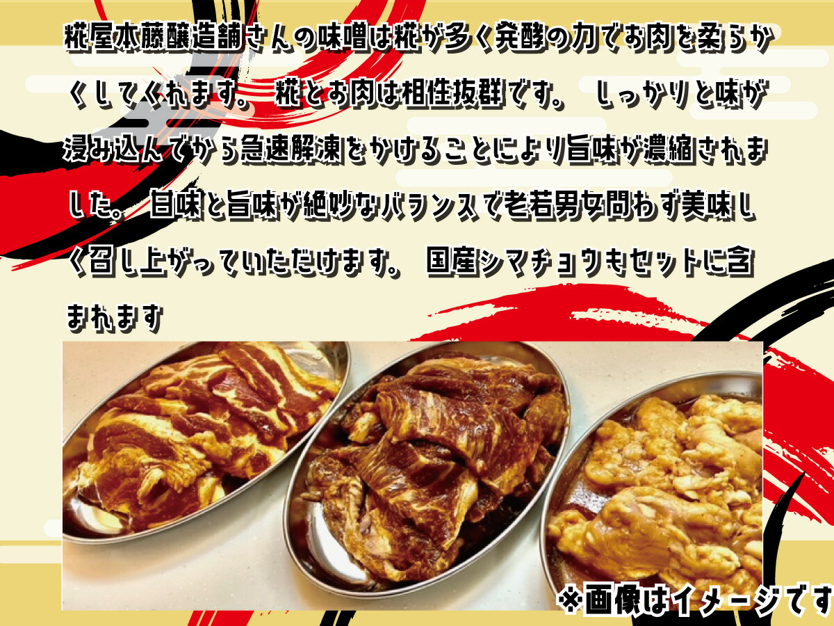 楽ギフ_のし宛書】 須坂市産調味料を使った長野県産焼肉 味噌たれ 冷凍品 《たけちゃん食品》 惣菜 肉 豚 ロース 味噌 冷凍 fucoa.cl