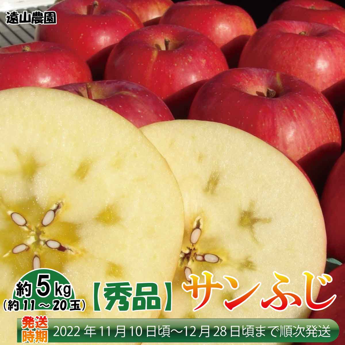 サンふじ 約5kg 約11〜20玉 りんご 秀品 《遠山農園》