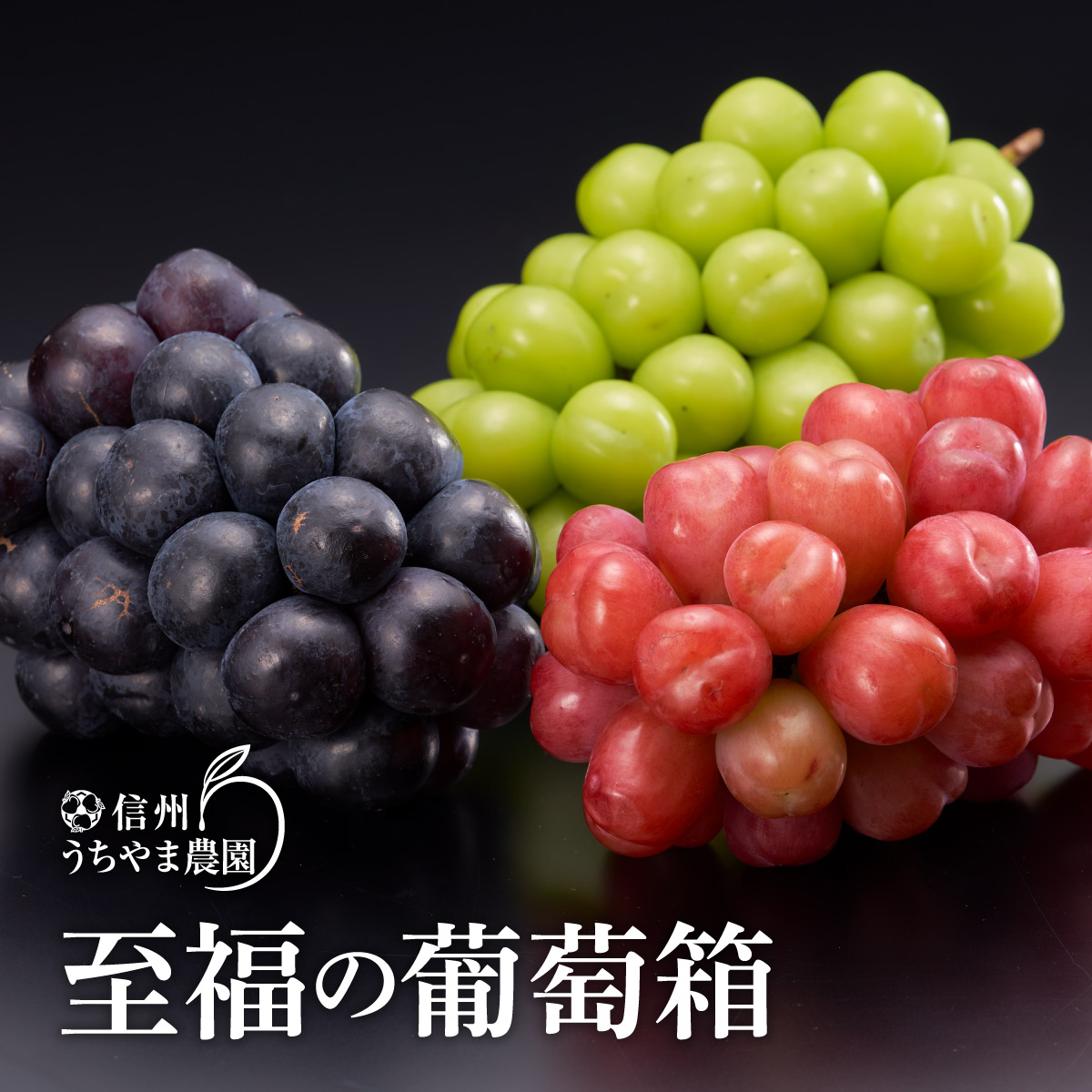至福の葡萄箱(3色セット)約1.5kg《信州うちやま農園》■2022年発送■※9月上旬頃〜10月下旬頃まで順次発送予定 フルーツ 果物 ぶどう ブドウ 葡萄