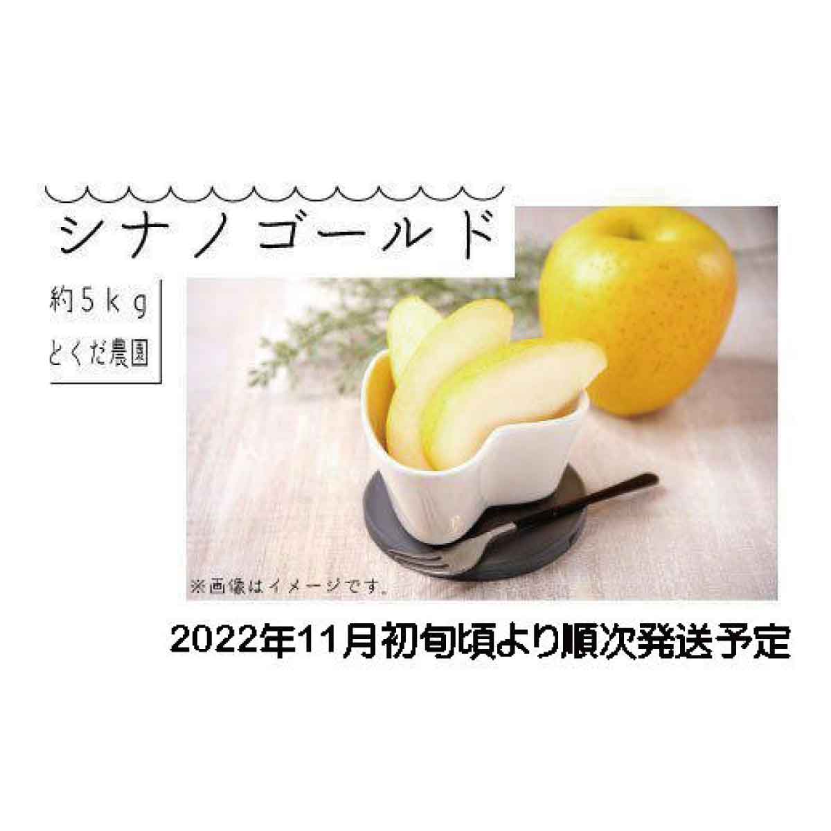 値引 シナノゴールド 約5kg 約13〜18玉 《とくだ農園》2022年発送※11月上旬頃〜11月下旬頃まで順次発送予定 果物 フルーツ りんご  fucoa.cl