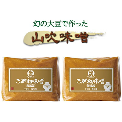 【ふるさと納税】味噌 山吹味噌 黄金 1kg×2 セット 信州味噌 みそ ミソ 熟成 信州 信州みそ 無添加 調味料 小分け 長野県 長野 　お届け：寄附入金確認後、１ヶ月以内に発送いたします。