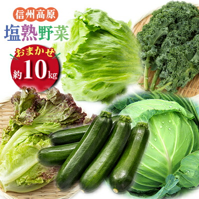 【ふるさと納税】信州高原塩熟野菜 約10kg お任せ 野菜セット 野菜詰め合わせ レタス キャベツ ズッキーニ カリーノケール サニー おたのしみ 　お届け：2025年7月上旬～9月下旬