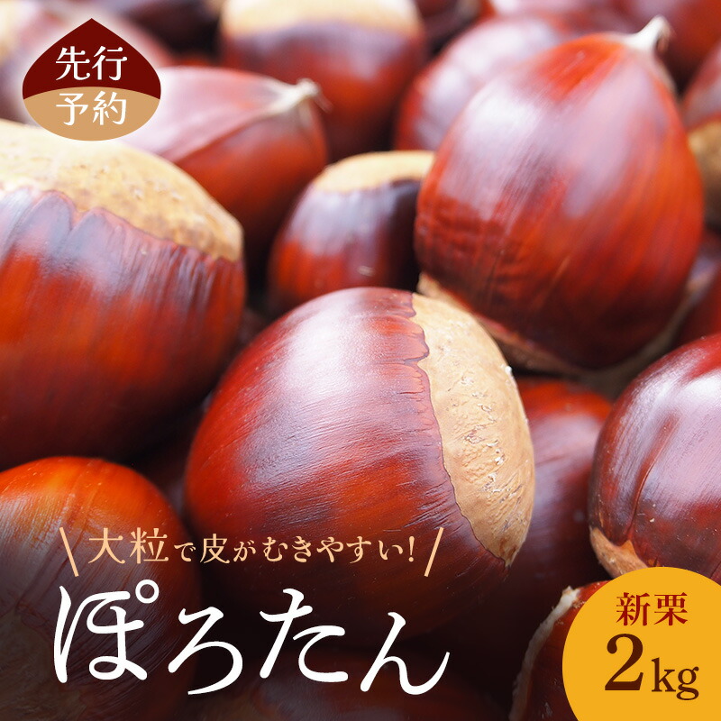 【ふるさと納税】【先行予約】皮がむきやすい！新栗2kg(ぽろたん)小諸市 栗 お取り寄せ　お届け：2025年9月上旬～10月上旬まで