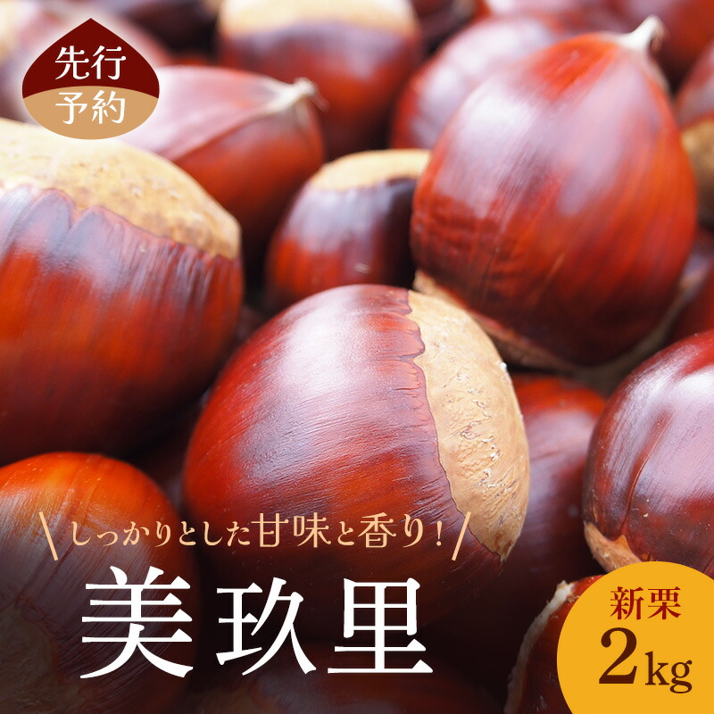 【ふるさと納税】先行予約 秋の味覚！新栗2kg(美玖里)小諸市 栗 お取り寄せ　お届け：2025年10月上旬～10月下旬まで