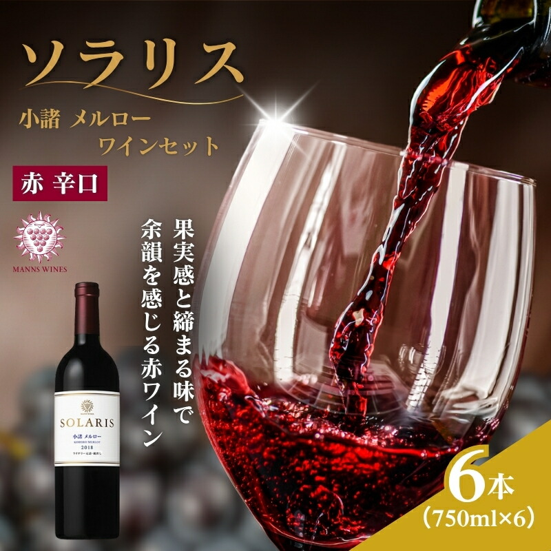 楽天市場】【ふるさと納税】ワイン 6本セット 赤ワイン 白ワイン お酒