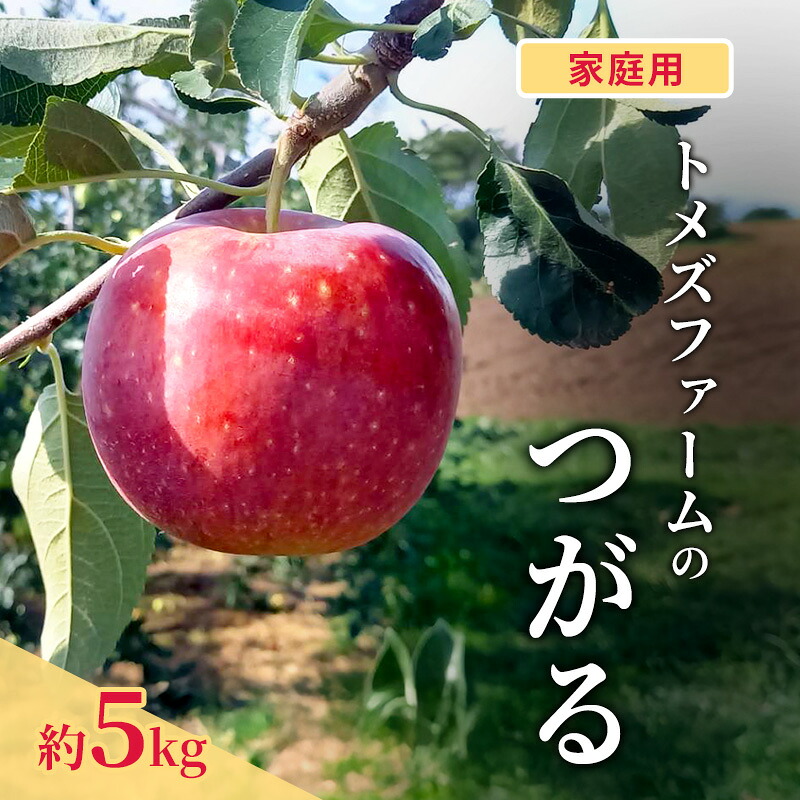 【ふるさと納税】つがる（家庭用） 約5kg（15～20玉入り）トメズファーム　りんご　長野　信州　小諸　果物　フルーツ　お届け：2026年9月より順次発送致します。｜長野県小諸市
