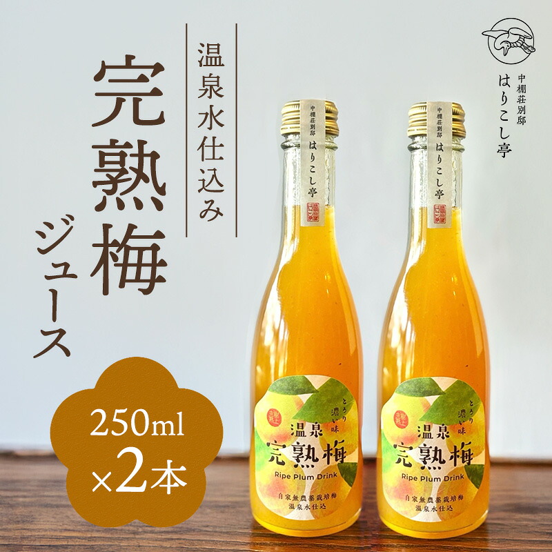 【ふるさと納税】梅ジュース　250ml×2本　中棚温泉　長野　信州　小諸