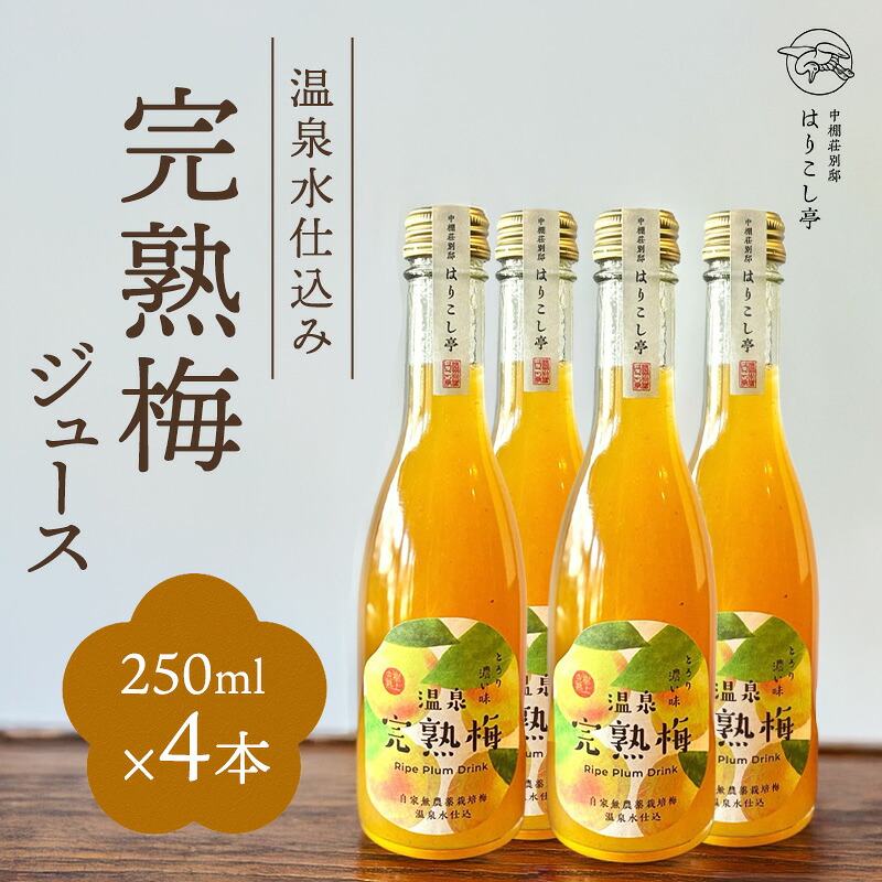 【ふるさと納税】梅ジュース 250ml×4本 中棚温泉 長野 信州 小諸|長野県小諸市
