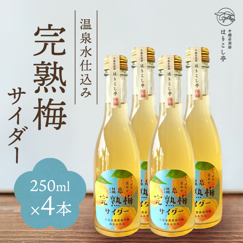 【ふるさと納税】梅サイダー 250ml×4本 中棚温泉 長野 信州 小諸