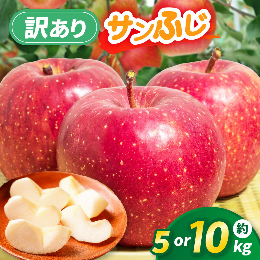【ふるさと納税】りんご 先行予約 伊那市田原産 リンゴ サンふじ 訳あり 選べる 約5kg or 約10kg 2026年11月中旬～発送｜りんご サンふじ 甘い 訳あり品 美味しい フルーツ 田原 伊那 伊那産 長野県 ふるさと納税 【010-a9】【017-24】 7,700円
