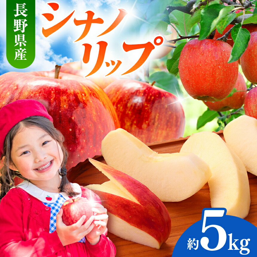 【ふるさと納税】先行予約 令和8年度産 シナノリップ（りんご・有機肥料栽培） 約5kg 【012-35】｜長野県 伊那市 信州 人気 美味しい りんご 林檎 フルーツ 果物 秋 しなのリップ 農園 先行予約 令和8年度 8,760円