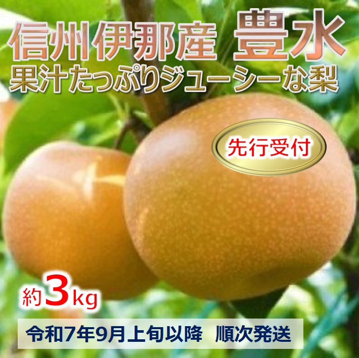 【ふるさと納税】令和7年9月上旬以降発送　果汁たっぷりな梨！豊水　3キロ　信州のジューシーな梨!（なし・梨・ナシ・ほうすい）長野県　伊那市　豊水　３キロ　3kg　与古美【013-37】
