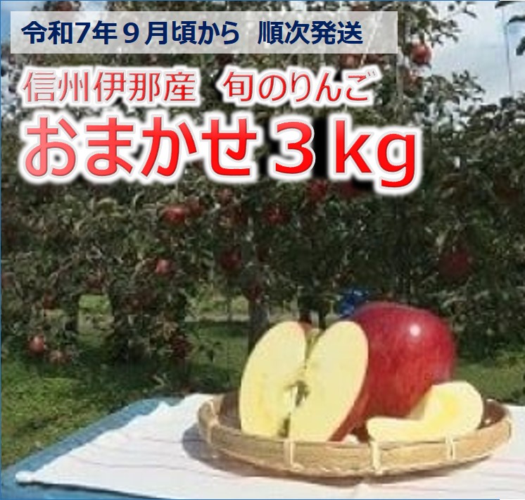 【ふるさと納税】【010-19】令和7年9月ごろ～発送　信州の旬のりんごおまかせ3キロ（りんご・リンゴ・林檎）　長野県　伊那市　ふるさと納税　３キロ　3kg　与古美