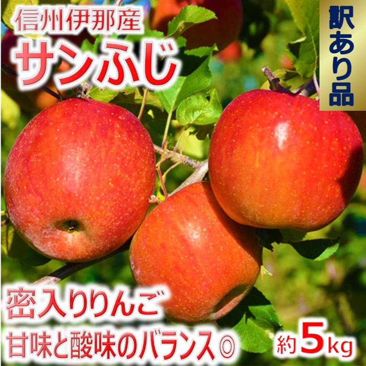 【ふるさと納税】【010-a3】信州のサンふじ　訳あり　5キロ！（りんご・リンゴ・林檎）長野県　伊那市　与古美