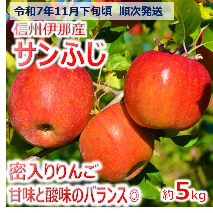 【ふるさと納税】【012-19】令和7年11月下旬発送　信州のサンふじ　5キロ！（りんご・リンゴ・林檎）　長野県　伊那市　与古美