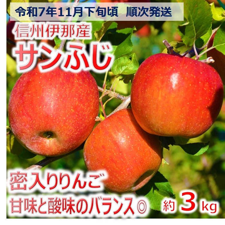 【ふるさと納税】【010-33】令和7年11月下旬発送　信州のサンふじ　3キロ！（りんご・リンゴ・林檎）長野県　伊那市　与古美