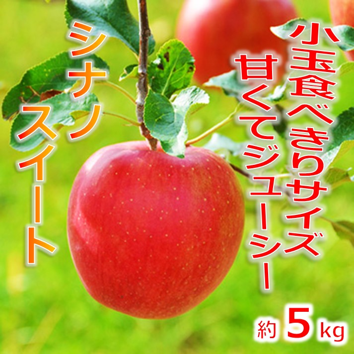 【ふるさと納税】【010-a4】信州のりんご　シナノスイート　厳選！小玉食べきりサイズ！　約5キロ（りんご・リンゴ・林檎）　長野県　伊那市　ふるさと納税　5キロ　5kg　与古美
