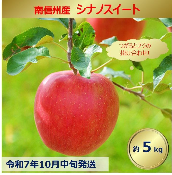 【ふるさと納税】【012-16】令和7年10月中旬発送　シナノスイート　5キロ　信州が生んだ最高においしいりんごです（りんご・リンゴ・林檎）　長野県　伊那市　ふるさと納税　5キロ　5kg　与古美