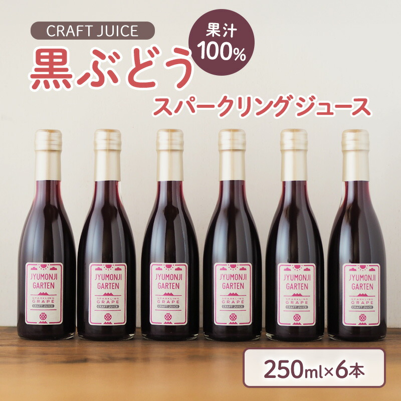 【ふるさと納税】「黒ぶどう」100％スパークリングジュース（250ml×6本） 果汁飲料 野菜飲料 ぶどうジュース ブドウ