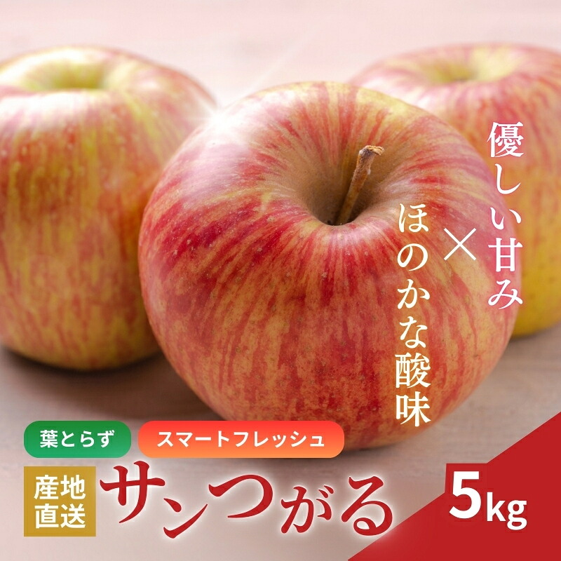 【ふるさと納税】りんご 長野 スマートフレッシュ サンつがる 5kg たっぷり楽しめる 葉とらず 産地直送 フルーツ 果物 デザート おやつ リンゴ 林檎 さんつがる 秋 旬 スムージー ジャム 信州 長野県 長野県産 2026 2026年　お届け：2026年9月上旬～下旬