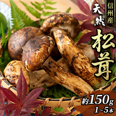 【楽天市場】【ふるさと納税】信州産「天然松茸」（約220g/2～8本） 野菜・きのこ お届け