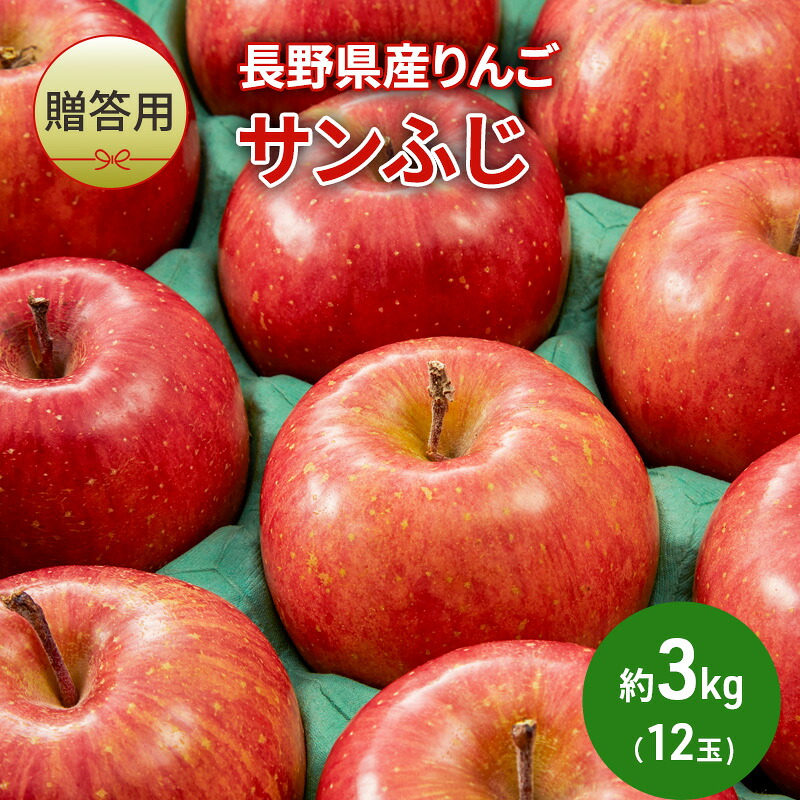 【ふるさと納税】りんご 長野 贈答用 リンゴ サンふじ 約3kg （12玉） 産地直送 ギフト プレゼント 贈答 贈答品 贈り物 フルーツ 果物 デザート サンフジ 秋 旬 信州 長野県 長野県産　お届け：2026年11月上旬～12月下旬