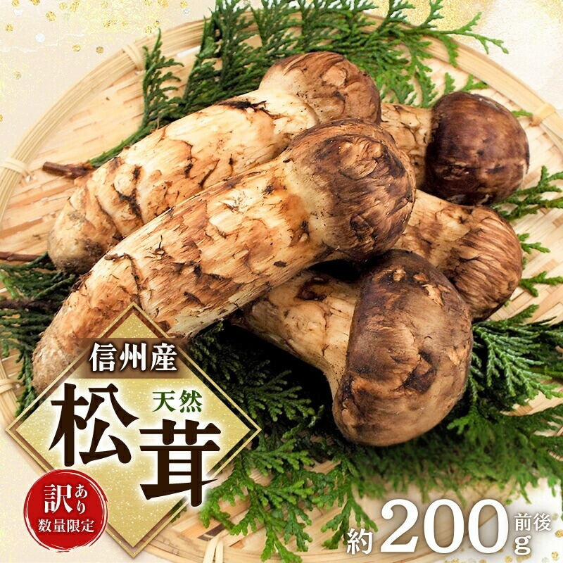 【ふるさと納税】【訳あり】数量限定/信州産「天然松茸」（約200g前後） 　お届け：2025年9月中旬～10月下旬