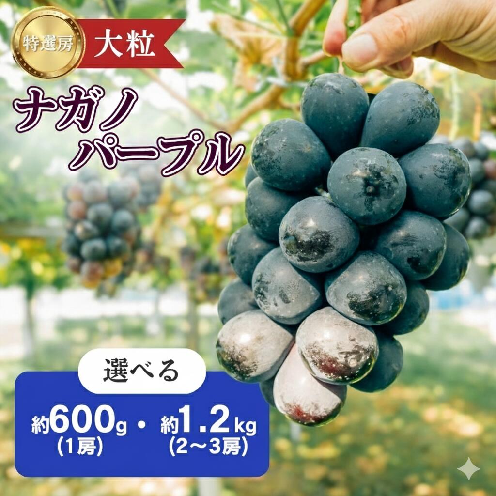 楽天市場】ナガノパープル 4L×2房 (約1.2kg) 長野産 秀品 大粒 大房 な
