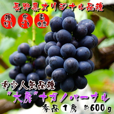 【ふるさと納税】厳選!濃厚大房ナガノパープル　秀品　1房(約600g)_ ぶどう ブドウ 葡萄 フルーツ くだもの 種無し 種なし 果物 人気 美味しい ふるさと 長野県 中野市 【配送不可地域：離島】【1234909】
