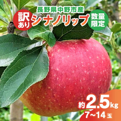 【ふるさと納税】【2025年発送】【数量限定!】シナノリップ 訳あり 約2.5kg(7-14玉) 中野市産【配送不可地域：離島・北海道・沖縄県・東北・中国・四国・九州】【1413211】