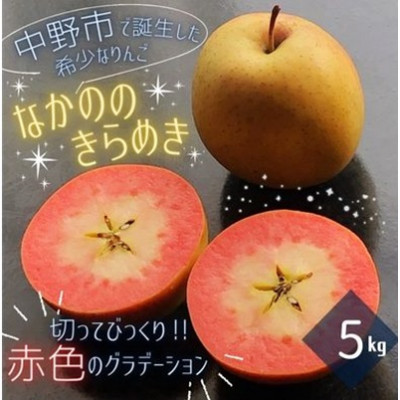 【ふるさと納税】【希少赤い果肉!数量限定】なかののきらめき家庭用5kg(16玉～20玉)【1494785】｜長野県中野市