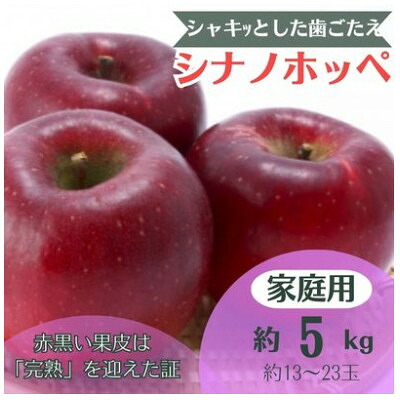 【ふるさと納税】りんご シナノホッペ 約5kg 家庭用 (13玉～23玉)【1495969】｜長野県中野市