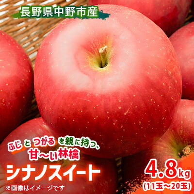 【ふるさと納税】【先行予約】 りんご シナノスイート 4.8kg  長野県産_ りんご リンゴ 林檎 シナノスイート シナノ スイート しなの すいーと 甘い ジューシー おいしい 長野県 産地直送 4.8kg 秋 冬 くだもの 果物 フルーツ デザート 【1496534】