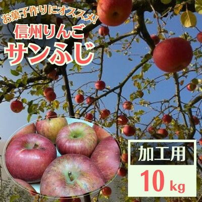 【ふるさと納税】信州りんご 加工用 10kg サンふじ_ りんご ふじ サンふじ リンゴ 林檎 加工用 調理用 ジャム ジュース コンポート アップルパイ 訳あり 信州 長野県 産地直送 不揃い 傷 家庭用 自宅用 10kg 秋 冬 くだもの 果物 果実 フルーツ 送料無料 【1508406】｜長野県中野市