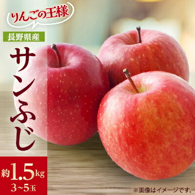 【ふるさと納税】りんごの王様　長野県産 りんご　サンふじ　約1.5kg(3～5玉程度)_ りんご 林檎 果物 くだもの フルーツ サンふじ 長野県 産地直送 送料無料 お取り寄せ ギフト 贈答 プレゼント 信州 【1541942】