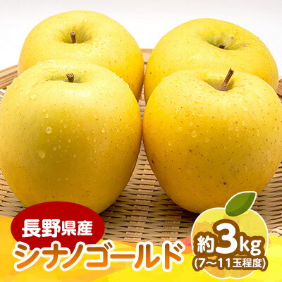 【ふるさと納税】長野県産 りんご　シナノゴールド　約3kg(7～11玉程度)_ りんご 林檎 フルーツ 果物 くだもの シナノゴールド 贈答 ギフト 人気 おすすめ 送料無料 お取り寄せ 長野県 信州 【1541951】