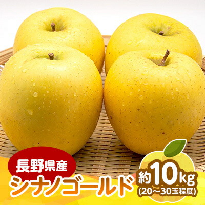 【ふるさと納税】長野県産 りんご　シナノゴールド　約10kg(20～30玉程度)【1541955】 37,050円