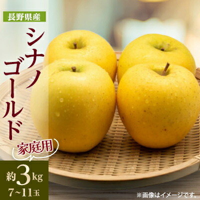 【ふるさと納税】【家庭用】 長野県産 りんご シナノゴールド 約3kg(7～11玉程度)【1574746】