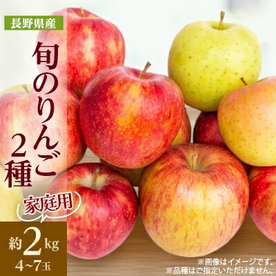 【ふるさと納税】家庭用 長野県北信州のりんご 約2kg(4~7玉)おまかせ2品種【1575394】